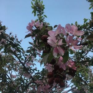 Meet your Posher, Silvana cervera